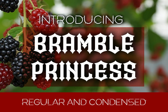 Bramble Princess: A Blackletter Font for Bold, Modern Design